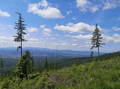 014_p20_IMG_20250621_101742