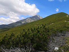 023_p20_IMG_20250621_112825