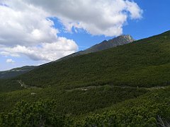 041_p20_IMG_20250621_114618