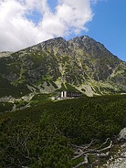 062_p20_IMG_20250621_122346