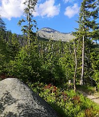 151_p20_IMG_20250621_165037