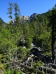 041_p20_IMG_20250622_094501