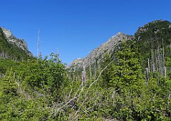 048_p20_IMG_20250622_095119