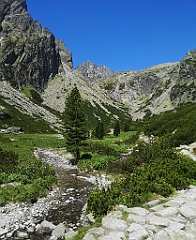 111_p20_IMG_20250622_113835