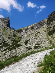 133_p20_IMG_20250622_120354