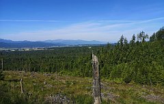 010_p20_IMG_20250623_084823