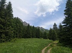 056_p20_IMG_20250623_124524