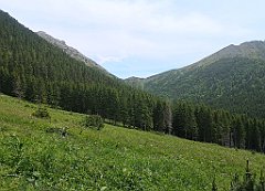 065_p20_IMG_20250623_130432