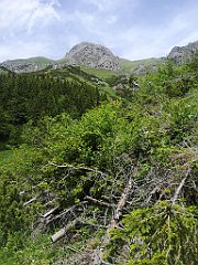 072_p20_IMG_20250623_131151