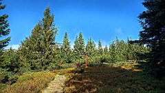 x14_IMG_20251008_093041