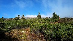 x14_IMG_20251008_100131