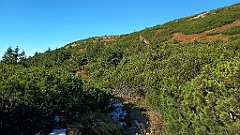 x14_IMG_20251008_101508