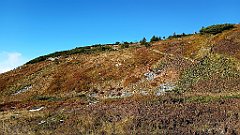 x14_IMG_20251008_102739