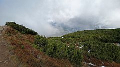 x14_IMG_20251008_121611