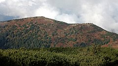 x14_IMG_20251008_121828