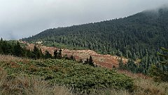 x14_IMG_20251008_141749